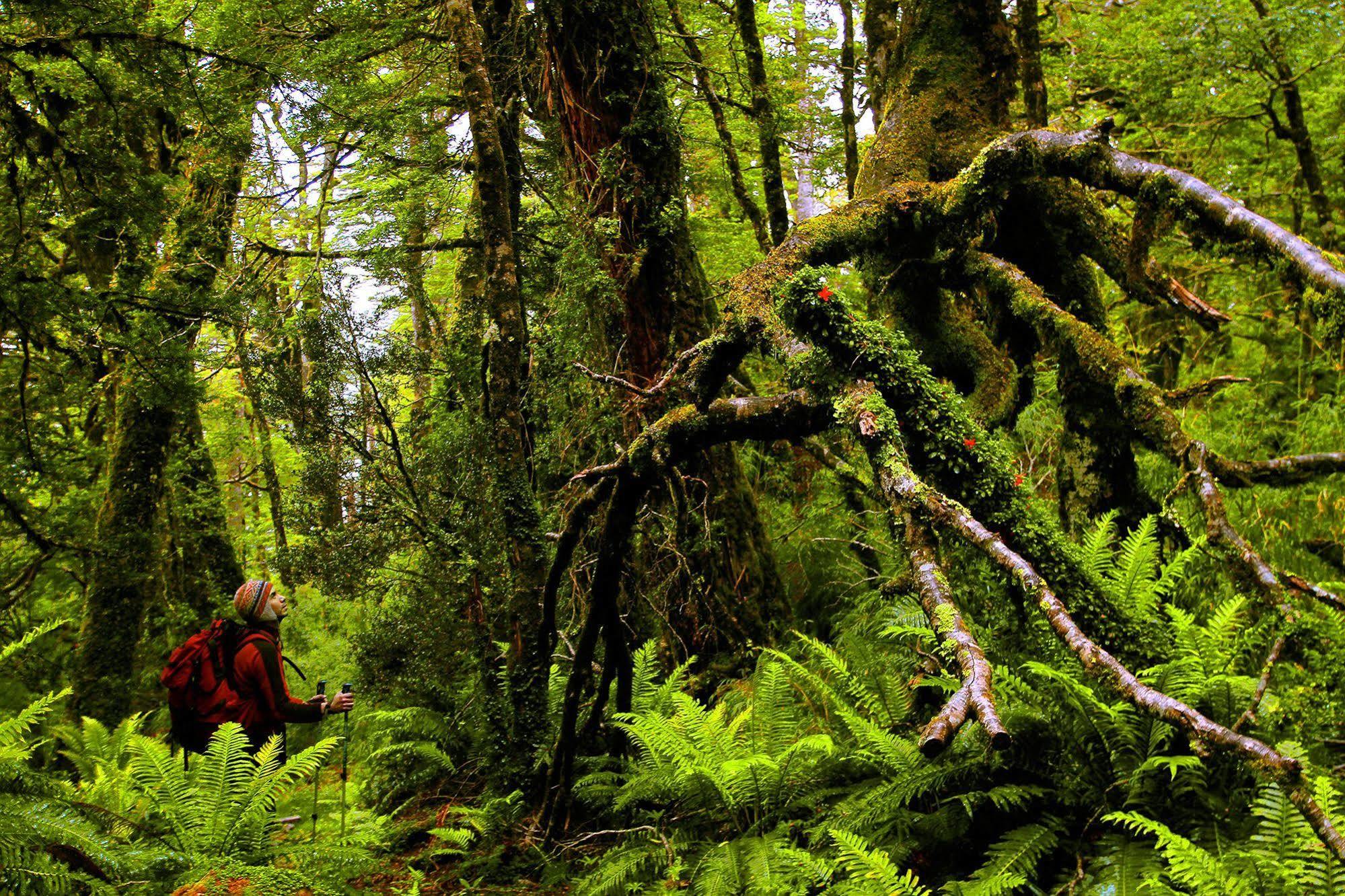 Puyuhuapi Lodge & Spa Luaran gambar